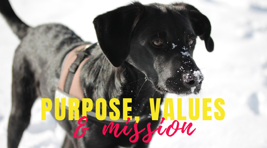 Purpose, Mission & Values