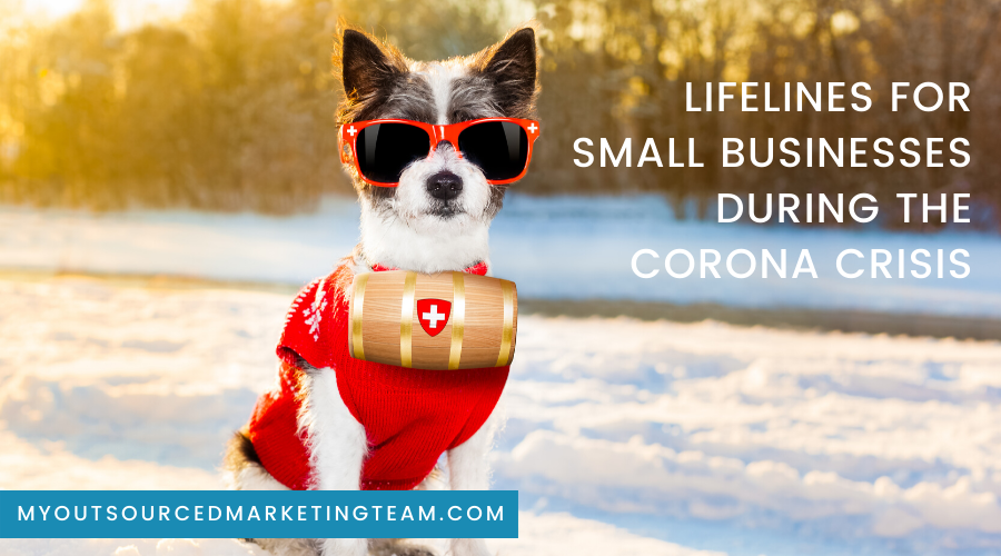 Lifelines for Small Businesses During the Crisis