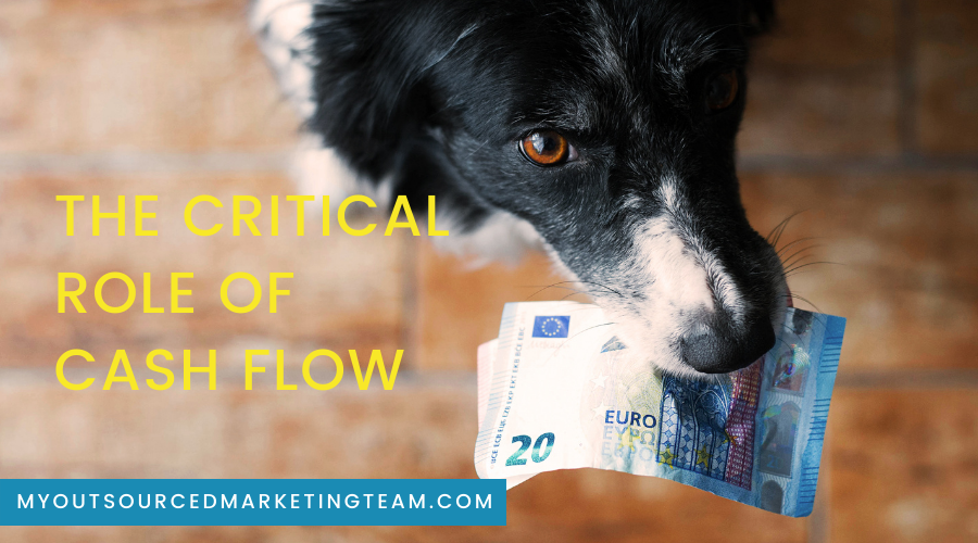 The Critical Role of Cash Flow in a small business