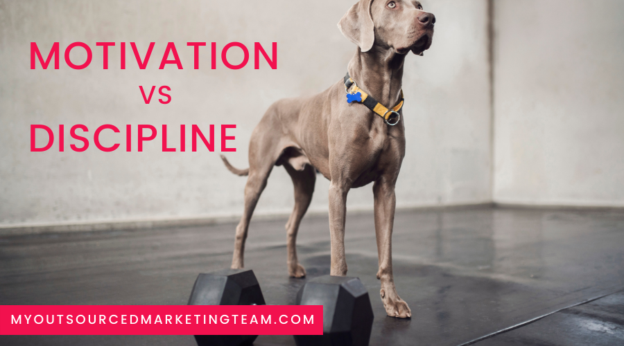 motivation discipline